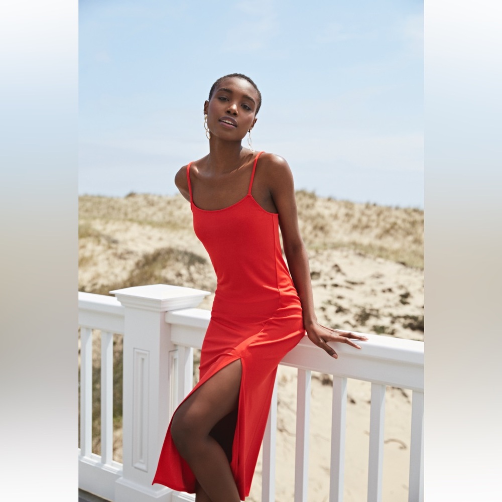 Something Navy red poppy dress